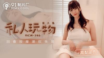 【91制片厂】91CM-246 私人玩物 第三集-高梨遥香封面