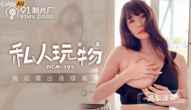 国产AV 91制片厂 91CM245 私人玩物2 高梨遥香封面