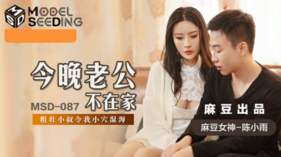 麻豆-今晚老公不在家-陈小雨封面