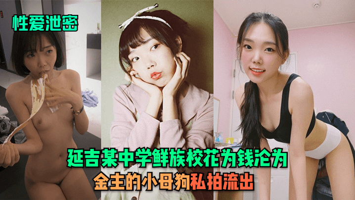 性爱泄密延吉某中学鲜族校花为钱沦为金主的小母狗私拍流出封面