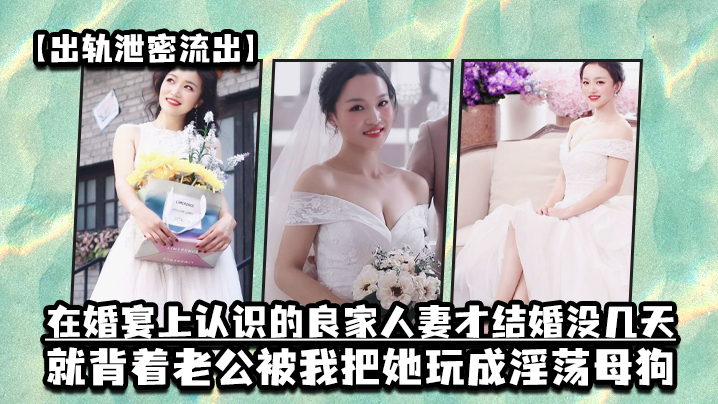 出轨泄密流出在婚宴上认识的良家人妻才结婚没几天就背着老公被我把她玩成淫荡母狗封面