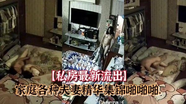 私房最新流出黑客破解摄 像头偷拍家庭各种夫妻精华集锦啪啪啪封面
