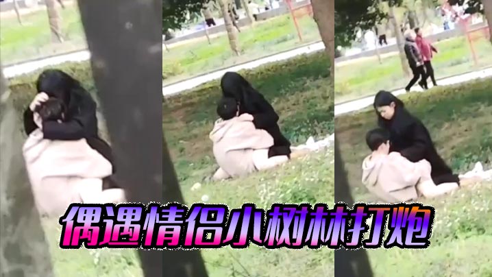 偶遇情侣小树林打炮.封面