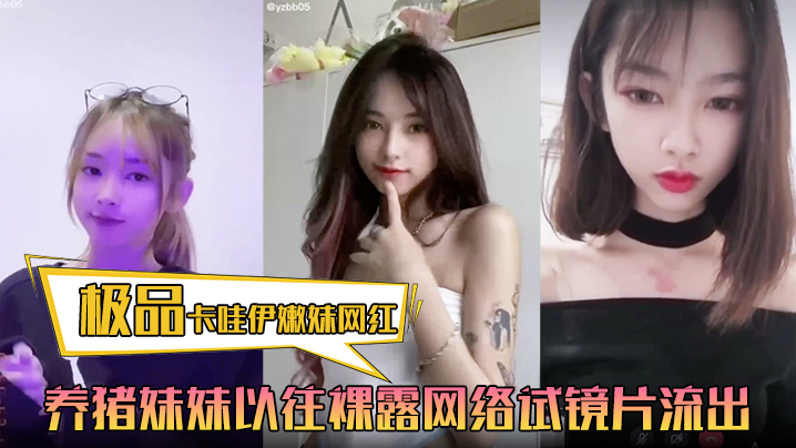 极品卡哇伊嫩妹网红养猪妹妹以往裸露网络试镜片流出.封面