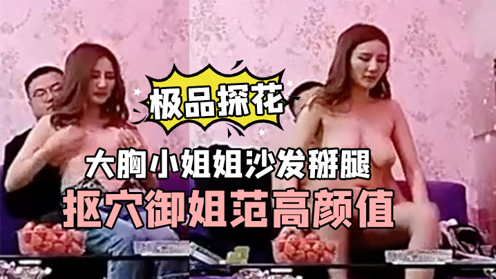 极品探花小新大胸小姐姐沙发掰腿抠穴御姐范高颜值手.法专业封面