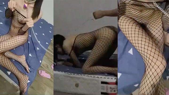 极品小骚货渔网情趣装骚穴抽插.封面