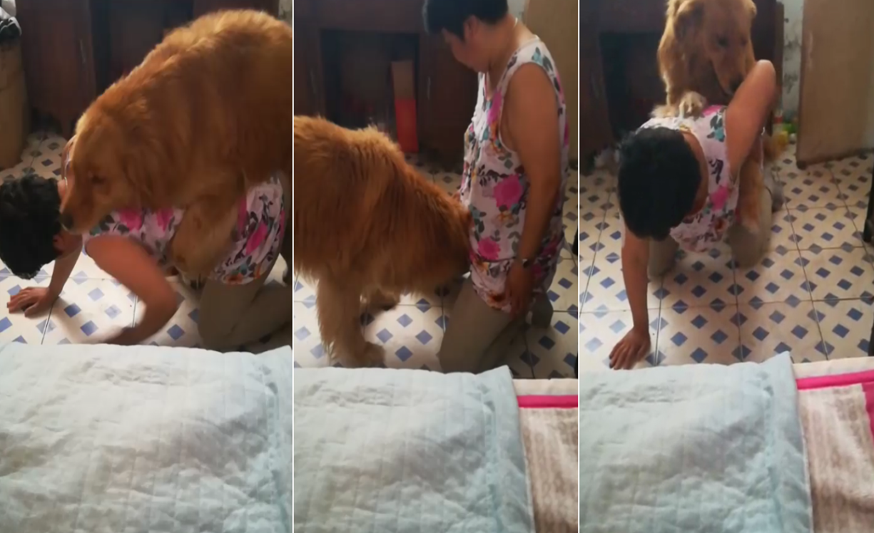 熟女让狗子操她逼逼.封面